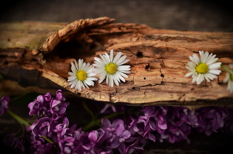 Recycled Wood Decor